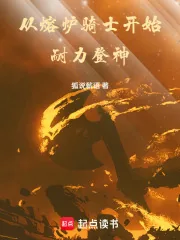 《从熔炉骑士开始耐力登神》封面