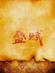 《盛赋》封面