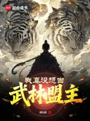 《我真没想当武林盟主》封面