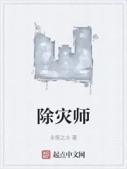 《除灾师》封面