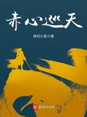 《赤心巡天》封面