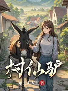 《村仙驴》封面