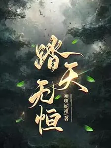 《踏天无恒》封面