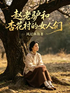 《赵老驴和杏花村的女人们》封面