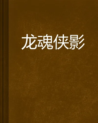 《龙魂侠影》封面