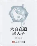 《大自在逍遥天子》封面