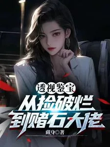 《透视鉴宝：从捡破烂到赌石大佬》封面