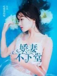 《娇妻不下堂》封面