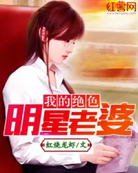 《我的绝色明星老婆》封面