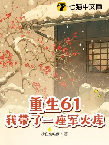 《重生61，我带了一座军火库》封面