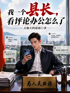 《我一个县长，看评论办公怎么了》封面