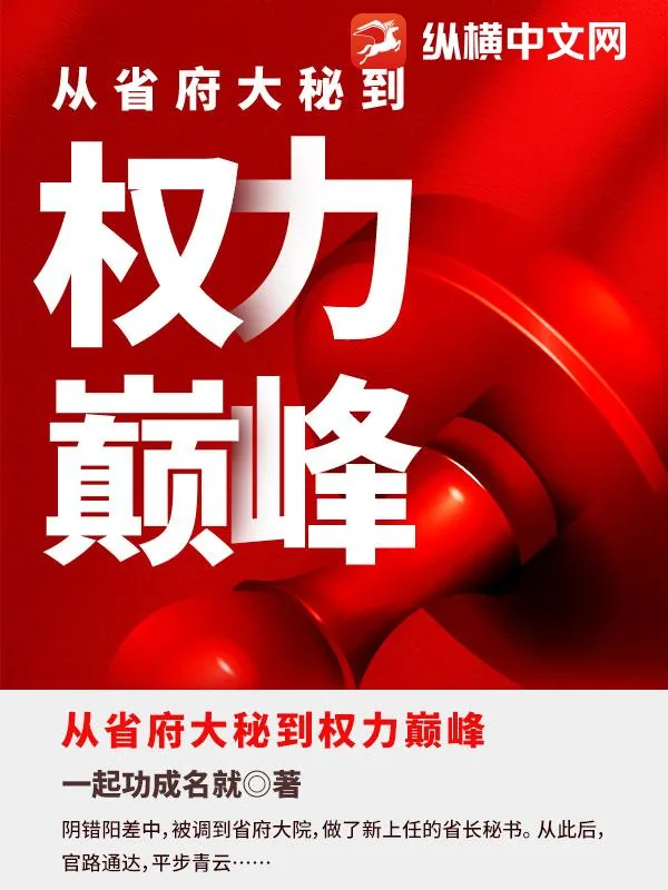 《从省府大秘到权力巅峰》封面