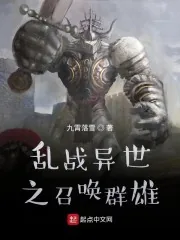 《乱战异世之召唤群雄》封面