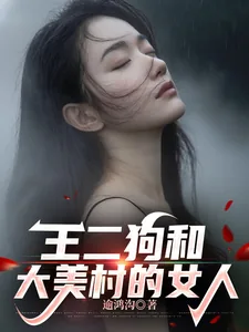 《王二狗和大美村的女人》封面