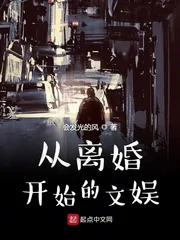 《从离婚开始的文娱》封面