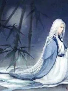 《帝谋之君还记》封面