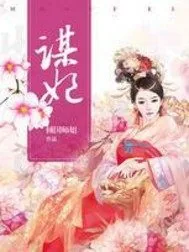 《谋妃》封面