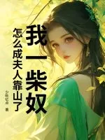 《我一柴奴，怎么成夫人靠山了？》封面