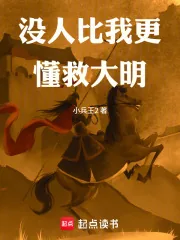 《没人比我更懂救大明》封面