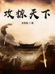 《攻掠天下》封面
