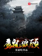 《鹰视狼顾》封面