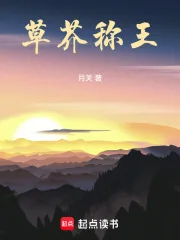 《草芥称王》封面