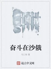 《奋斗在沙俄》封面