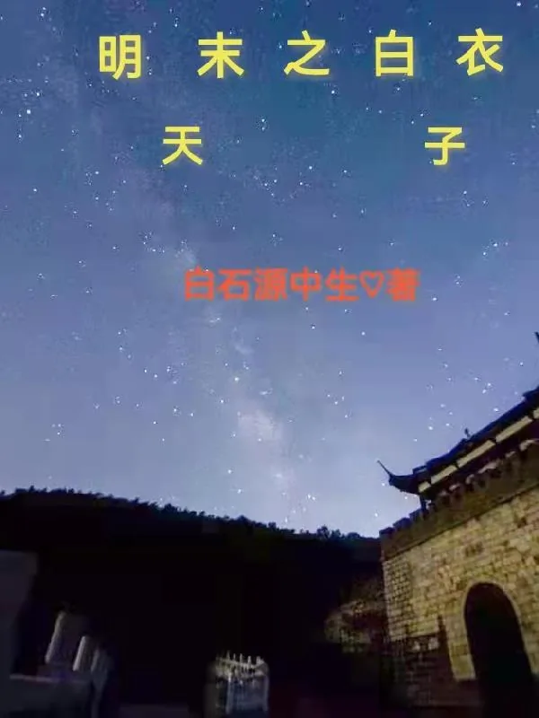 《明末之白衣天子》封面