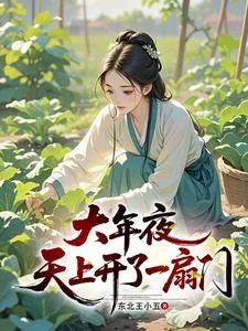 《大年夜，天上开了一扇门》封面