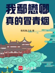 《大明：我鄢懋卿真的冒青烟》封面