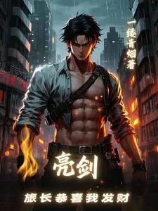 《亮剑，旅长恭喜我发财》封面