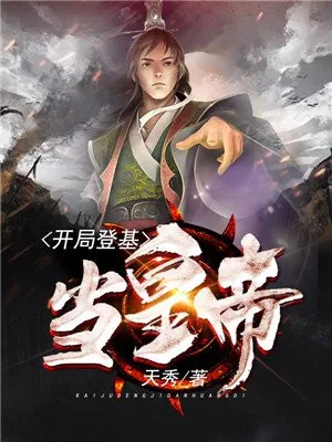 《夏子辰孙若微》封面