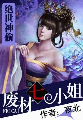 《绝世神偷》封面