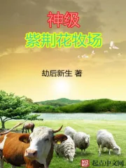 《神级紫荆花牧场》封面