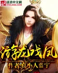 《游龙戏凤》封面