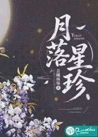 《月落星珍》封面