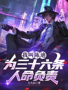 《我叫陈迪，为三十六条人命负责》封面