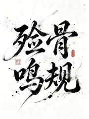 《殓骨鸣规》封面