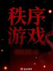 《秩序游戏》封面