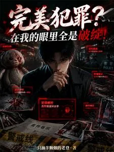 《完美犯罪？在我的眼里全是破绽！》封面