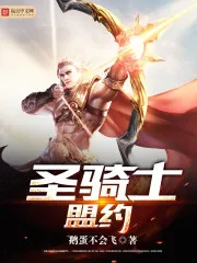 《圣骑士盟约》封面