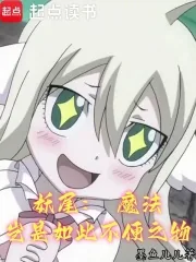 《妖尾：魔法岂是如此不便之物》封面