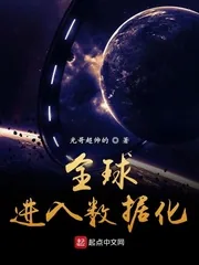 《全球进入数据化》封面