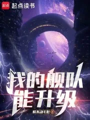 《我的舰队能升级》封面
