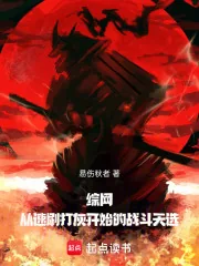 《综网：从速刷打灰开始的战斗天选》封面