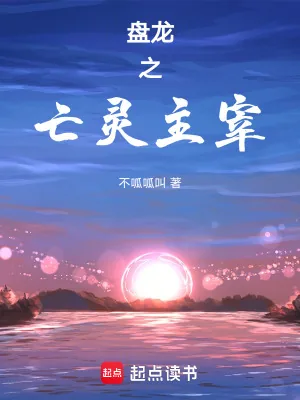 《盘龙之亡灵主宰》封面