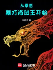 《从拳愿暴打海贼王开始》封面
