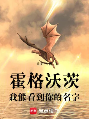 《霍格沃茨：我能看到你的名字》封面