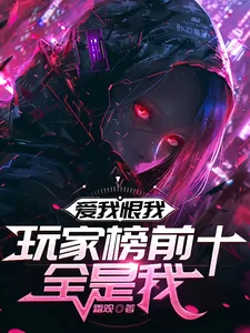 《爱我恨我，玩家榜前十全是我》封面