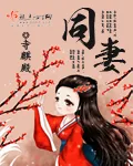 《美神禁猎区》封面